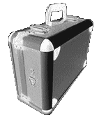 (Image: Designer Kit Case)