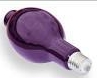 (Image: Mercury Vapour Blacklight Lamp)