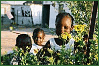 Source: Ivory Park Ecocity Trust