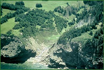 Photo by Bonnie Sutherland