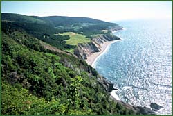 Photo by Bonnie Sutherland