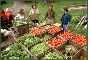 Photo by Clemens Kalischer, courtesy of University of Massachusetts Extension