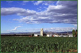 Photo by Scott Bauer, courtesy of Agricultural Research Service