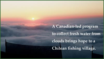 Photo by Yerbes Buenes