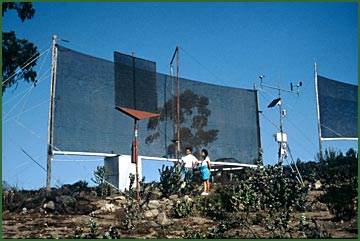 Photo by Mason Castro