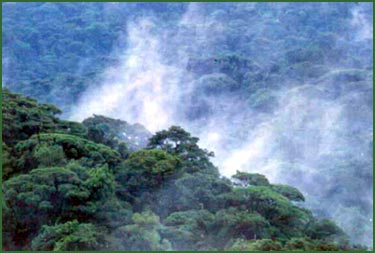 Photos by Wayn Barrett, courtesy of The Butterfly Farm