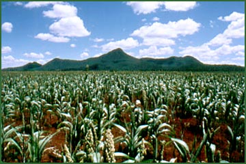 Photo courtesy of CIDA