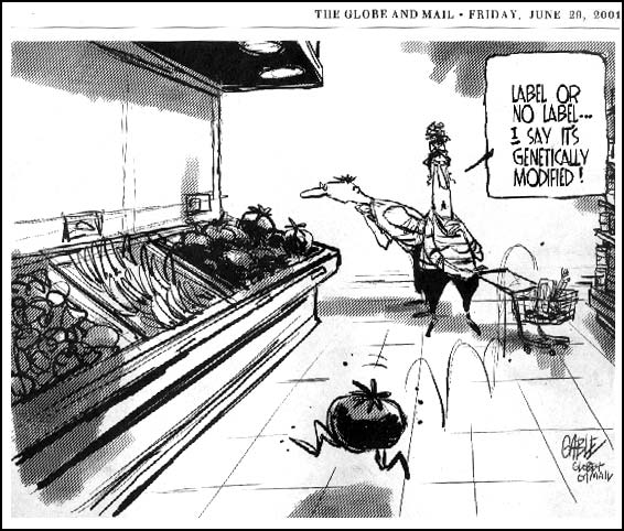 Editorial Cartoon from the Globe and Mail