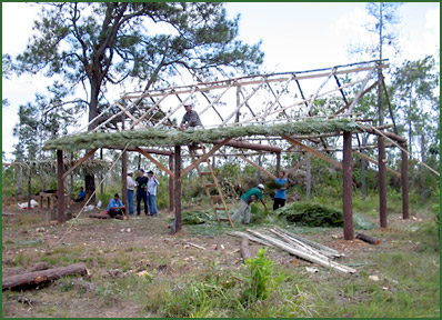 Photo by Nicola Ross