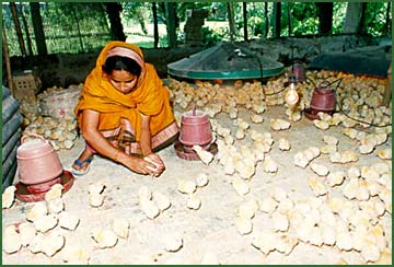 Photo courtesy of Grameen Bank