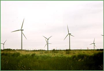 Photo by Murray MacAdam