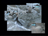 Image of Guards