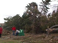 [Photo: Point Pleasant Park damage .]  