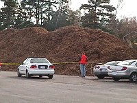 Photo: Pile of wood chips