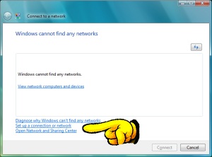 Windows Vista Network Setup. Click for larger version