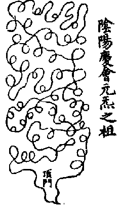 Development Of Taoism