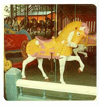 (Image: Carousel Horse Close-Up)