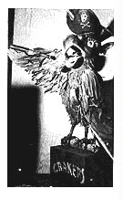 (Image: `Jolly Polly')