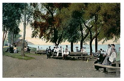 (Image: Tree-Shaded Picnic Grove)