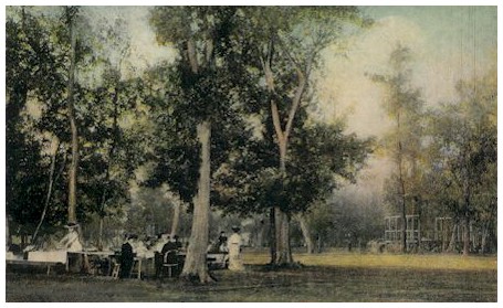 (Image: Elm Park Patrons Enjoy a Picnic)