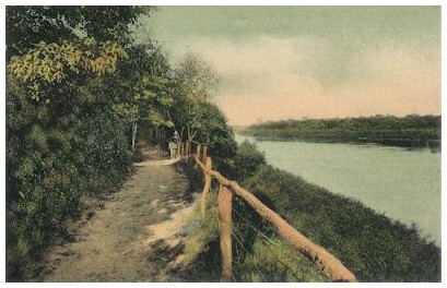 (Image: The Walkway with a Bordering Fence)