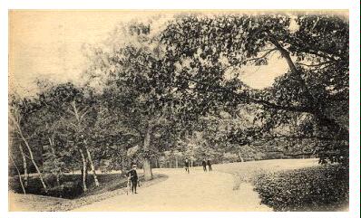 (Image: Bike Path)