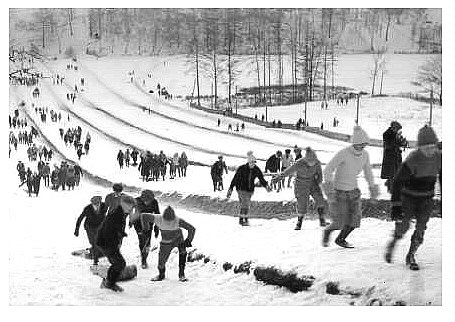 (Image: Toboggan Run)