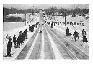 (Image: Long Shot of the Toboggan Run)