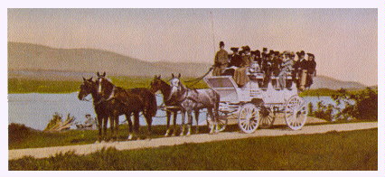 (Image: A Park Carriage Ride)