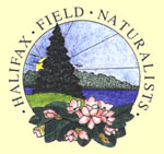 [HFN Logo]