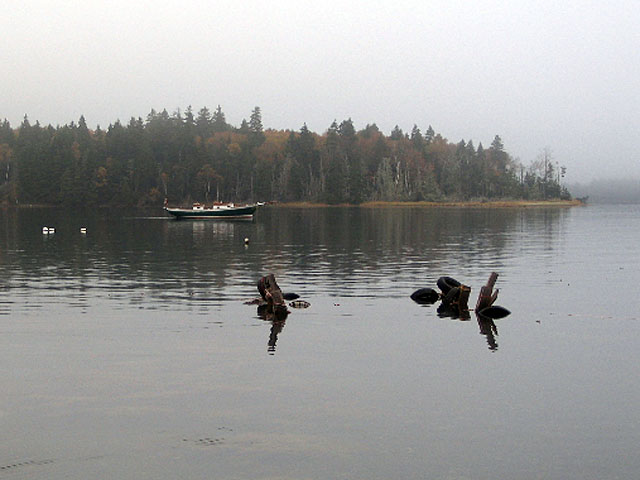 Island Cove Beach