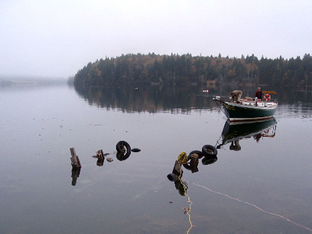 Island Cove Beach