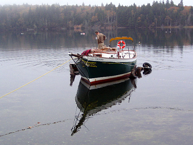 Island Cove Beach