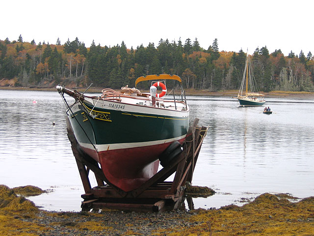 Island Cove Beach