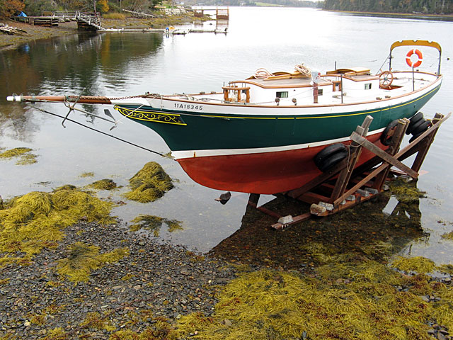 Island Cove Beach