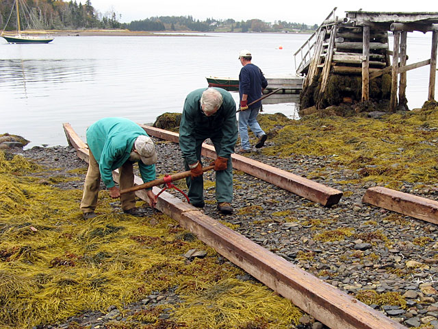 Island Cove Beach