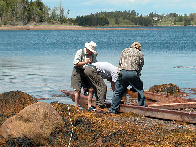 Island Cove Beach