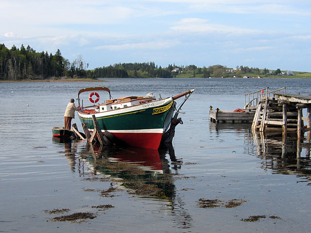 Island Cove Beach