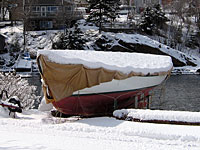 Sadie in Winter Storage