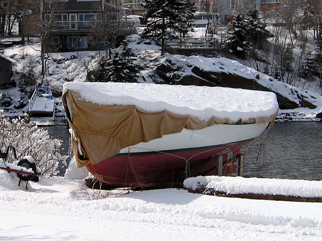 Sadie in Winter Storage