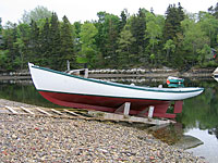 Sadie at low tide