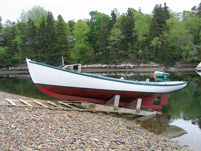 Sadie at low tide
