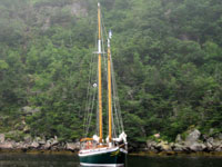 Anchored in Kings Harbour Western Arm