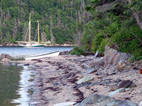 The Beach at Cinc Island Bay