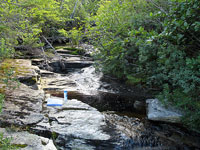 freshwater pool at Roti Bay