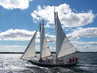 Concertina in Lunenburg