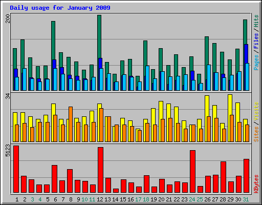 Daily usage for January 2009