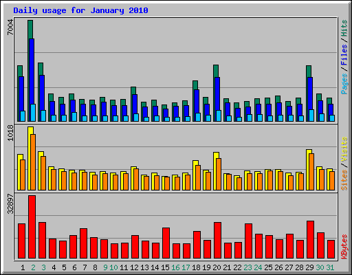 Daily usage for January 2010