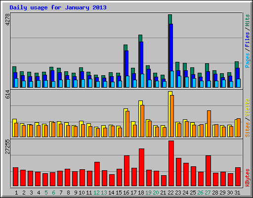 Daily usage for January 2013