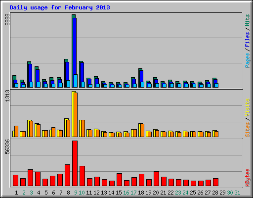 Daily usage for February 2013